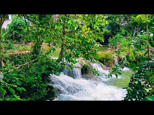 Flowing Water ASMR | Perfect for Study and Stress Relief