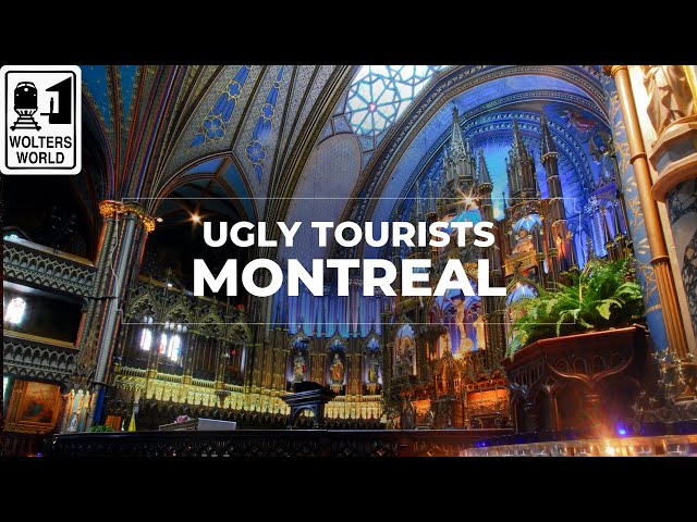 Why Montreal HATES American Tourists