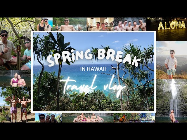 HAWAII TRAVEL VLOG - Spring Break 2024  *hiking, shark swimming, food, and more!*