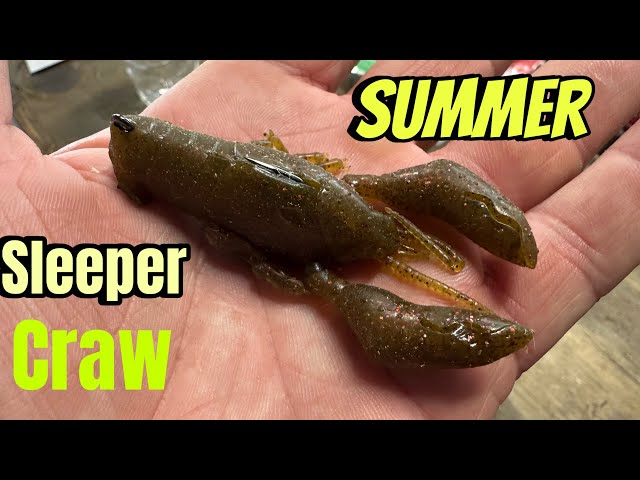 The Best Summer Dock Fishing Lure Ever…