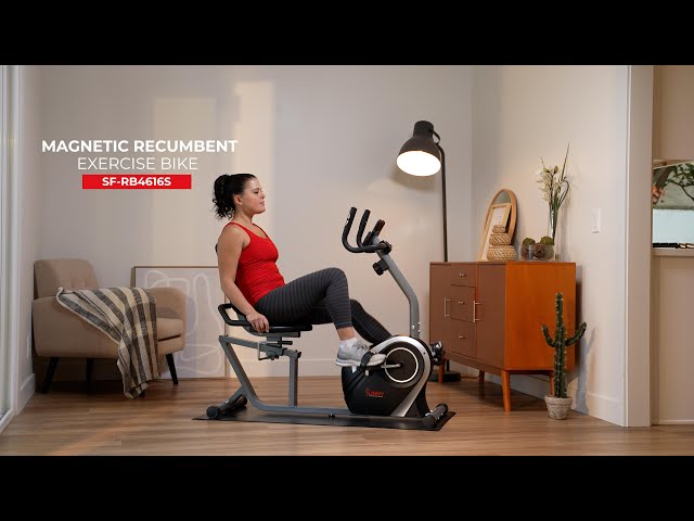 Magnetic Recumbent Exercise Bike | SF-RB4616S