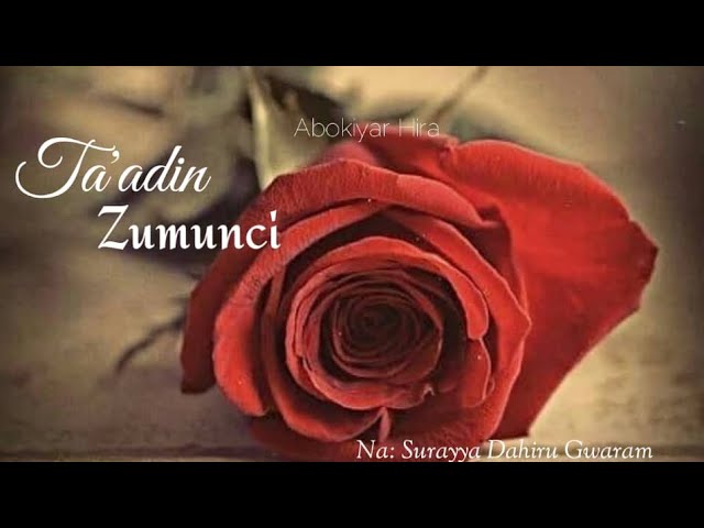 TA'ADIN ZUMUNCI....06