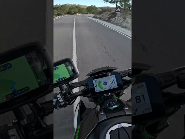 The 2025 Kawasaki Z900 Effect 😅