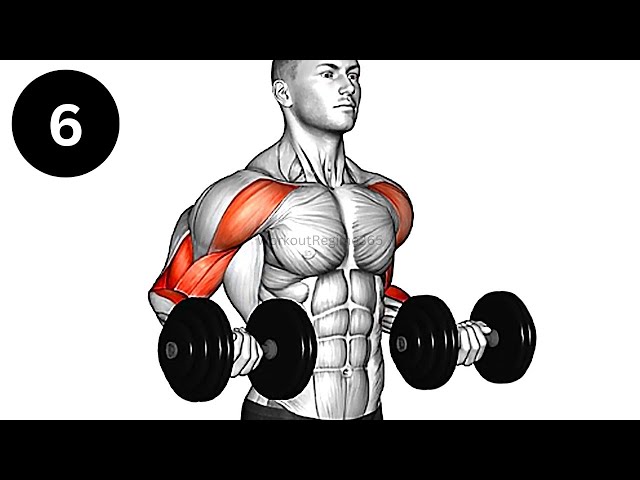 The Best Biceps Exercises To Grow Massive Arms | 6 EXs