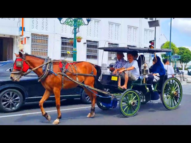 NAIK KUDA DELMAN - HORSE FINGER FAMILY SONG - LAGU MEDLEY TOPI SAYA BUNDAR - NAIK DELMAN ISTIMEWA