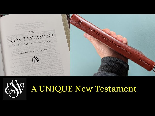 ESV New Testament with Psalms and Proverbs