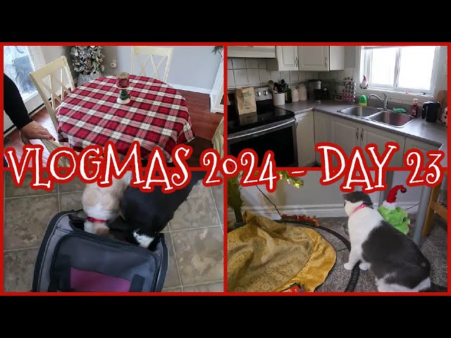 VLOGMAS 2024 - DAY 23 - THEY'RE HOME