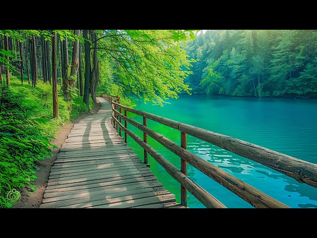 Beautiful Relaxing Music - Stop Overthinking, Stress Relief Music, Sleep Music, Calming Music #110