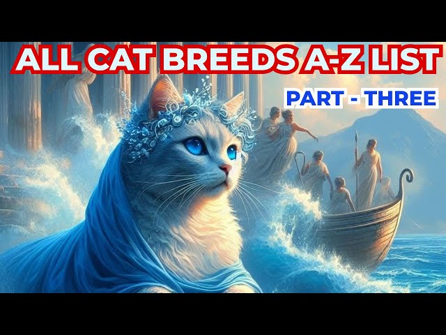 Cat Breeds Guide A - Z  List ( PART - 3) #catbreeds #cats