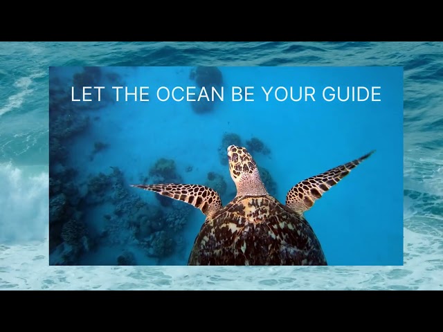 oceania #ocean #oceania - Travel Video