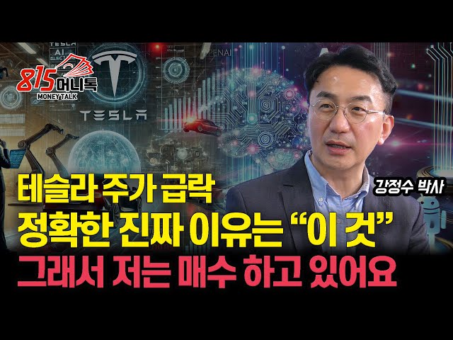 테슬라의 주가급락, 정확한 진짜 이유 말씀드리죠! "싸게 살 기회로 저는 봅니다" / 일론 머스크의 리스크 이건 기억하세요!  | 블루닷AI 연구센터 강정수 박사