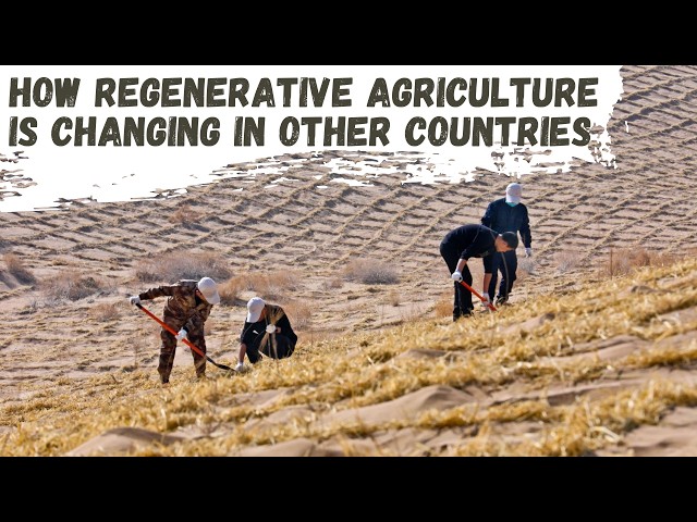 How Regenerative Agriculture is Changing in Other Countries