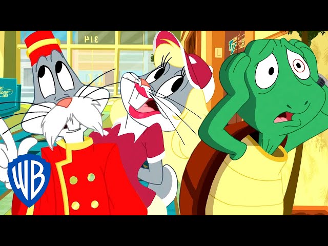 Looney Tunes | Revenge of the Bugs | @WB Kids