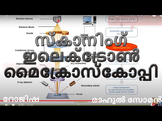 Scanning Electron Microscopy (SEM) ഇലക്ട്രോൺ മൈക്രോസ്‌കോപ്പി Principle and Instrumentation Malayalam