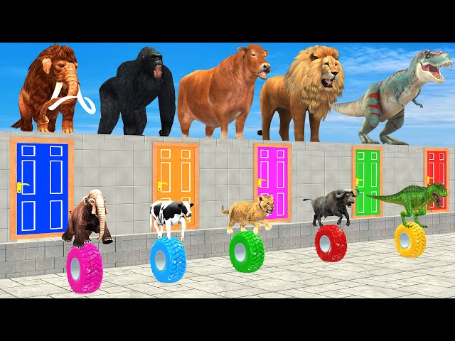 Cow Elephant Lion Gorilla Tiger T Rex Choose the RIGHT Door Animal ESCAPE ROOM CHALLENGE MYSTERY BOX