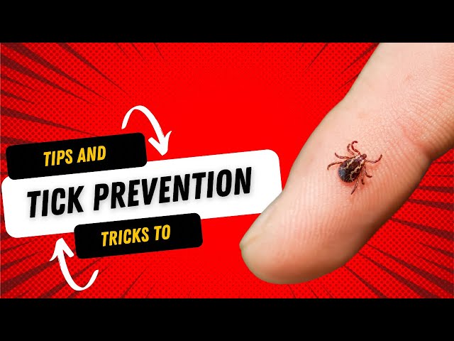 Tips and Tricks to Tick Prevention