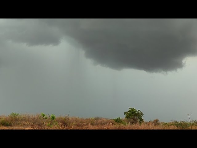 Chuva ao vivo no Desbravando o Sertão está ao vivo!