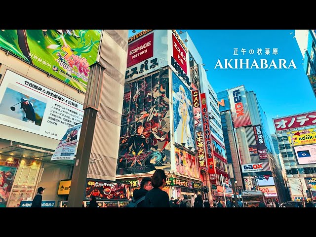 Akihabara Lunch Walk_Sunlit Streets | 4K HDR