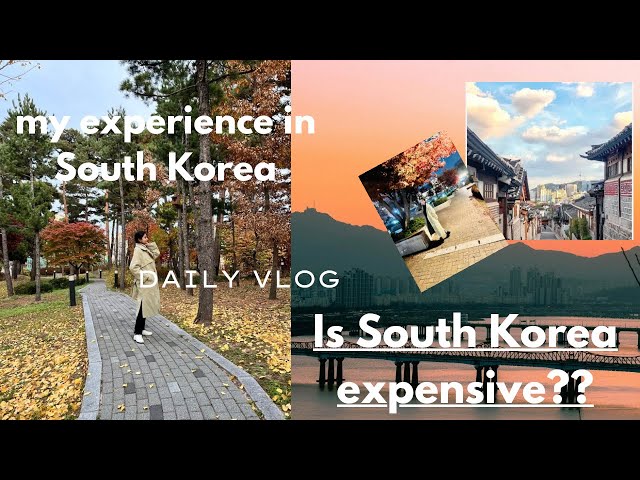 Daily vlog | mini vlog | Indian 🇮🇳 student experiences in South Korea 🇰🇷 | Part-3