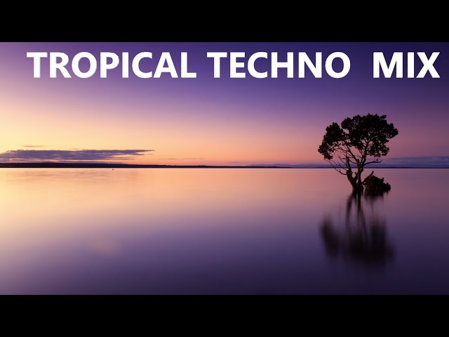 Tropical Techno Mix 2