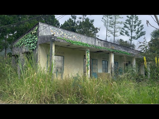 Why Was This School Abandoned for Years? WATCH How I Transformed It for Free!