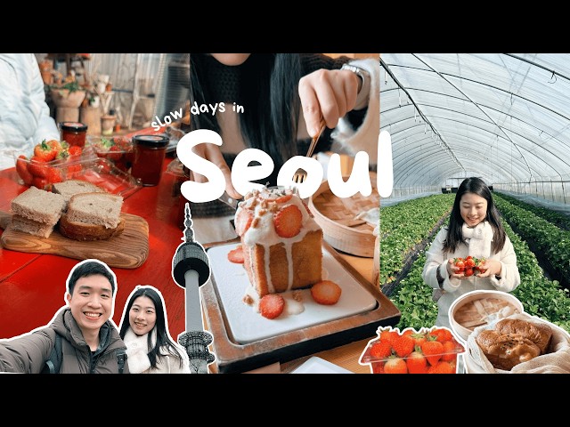 Strawberry Season in Korea 🍓| Nami Island, Discovering Cozy Cafes ☕ | Seoul Travel Vlog 🇰🇷