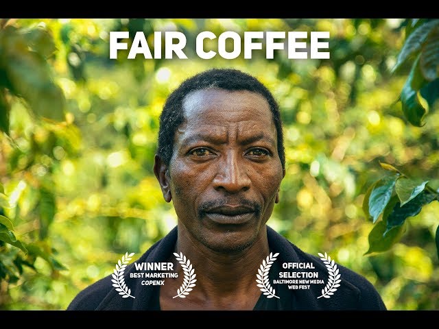 Fair coffee - 360 experience