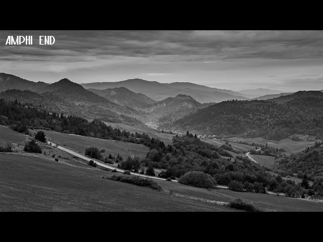 Birds in a Rainy Night Forest – Relaxing Nature Sounds for Sleep & Meditation