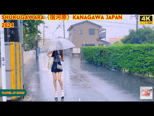 【4k hdr】 3 Hours Heavy Rain Walk in Shukugawara（宿河原）Kanagawa Japan | Relaxing Natural City ambience