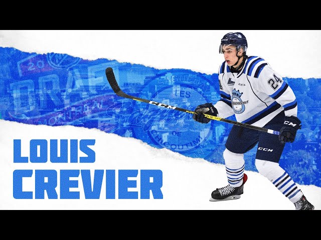 Quick Look : Louis Crevier Scouting Report - 2020 NHL Draft Prospect Profile w/ Highlights