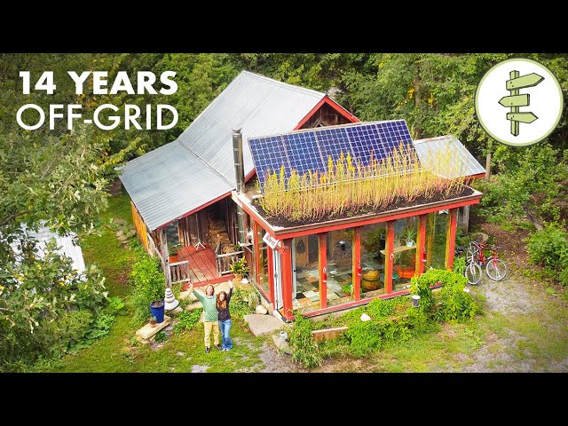 14 Years Living Off-Grid in a Self-Built Cabin & Farming Tons of Food on the Land