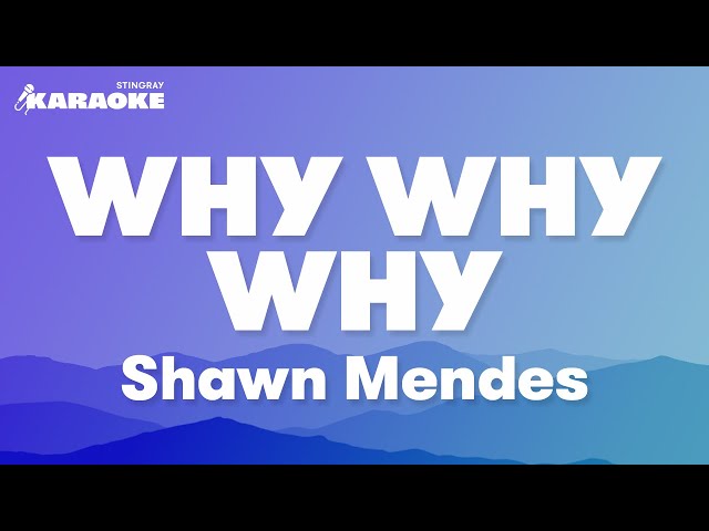 Shawn Mendes - Why Why Why (Karaoke Version)