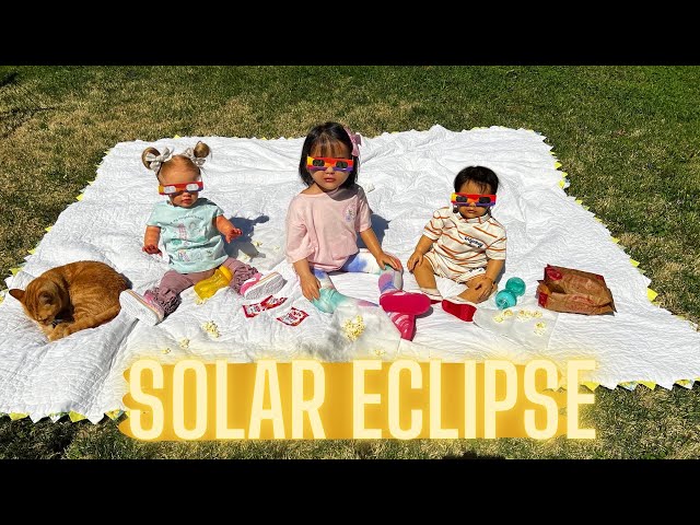 FUNNY Reborn Doll Solar Eclipse Picnic | April 8, 2024 #reborn #rebornroleplay #roleplaying