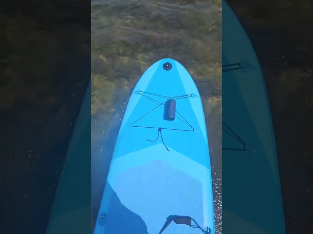 #sup #paddleboard (1)