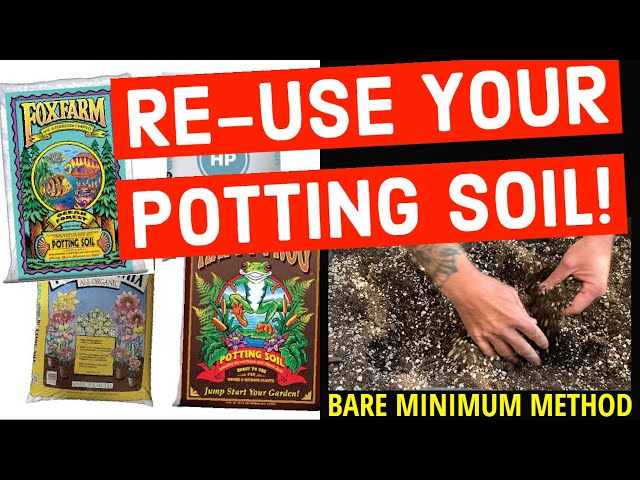 How to Re-use Your Old Potting Soil for Another Grow (Baseline Method)