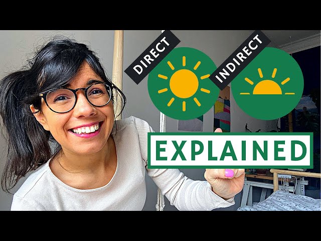 Bright indirect light vs direct light - WHICH ONE DOES YOUR PLANT WANT?