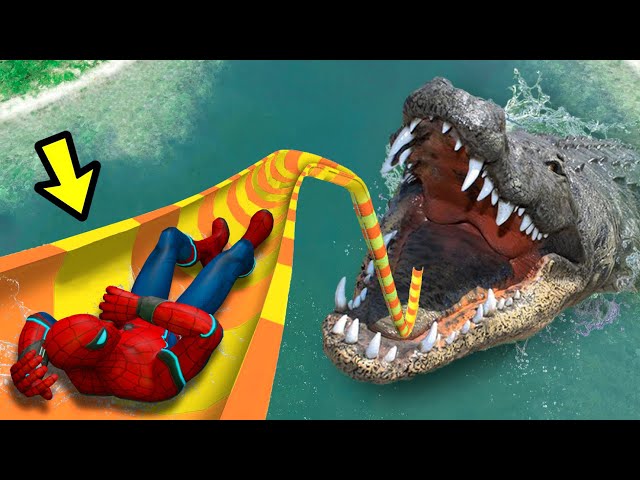 GTA 5 Big CROCODILE Water Slides SPIDERMAN  - WATER RAGDOLLS (Euphoria Ragdolls) ep.5