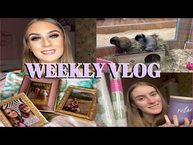 WEEKLY VLOG | We got new pets, spending too much money + shopping haul