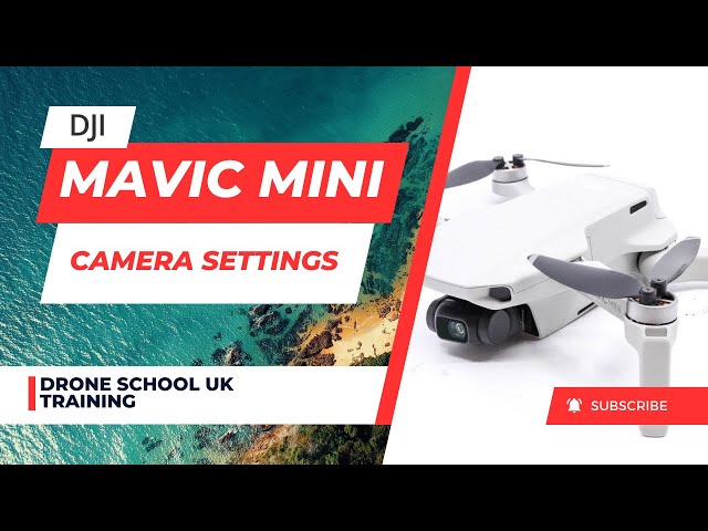 DJI Mavic Mini Drone Training - Camera Setting in the DJI Fly App