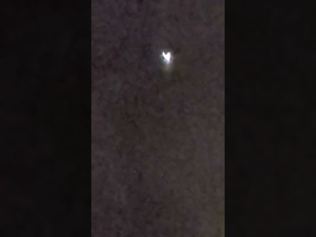 WOW!  Is this an Angel or Alien ? watch till the end