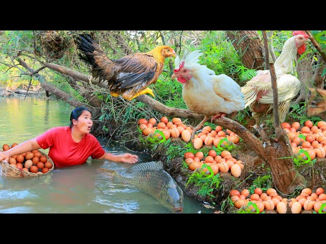 survival in the rainforest - Catch Chicken egg and fish at river - Cook Chicken egg and fish for dog