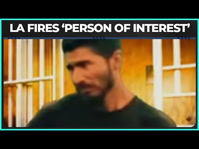 'Person Of Interest' DETAINED For Los Angeles Fires