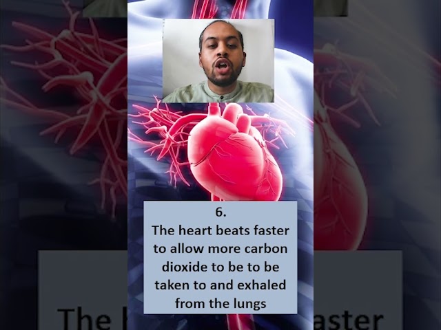 Homeostatic Control Of Carbon Dioxide Concentration #homeostasis  #lifescience #finalexamination