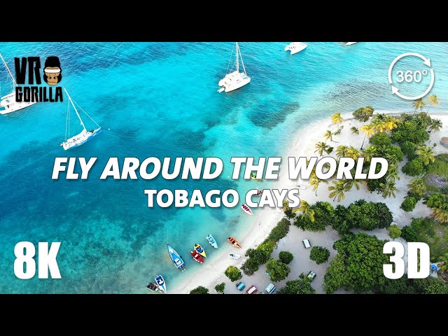 Fly Around the World VR - Tobago Cays a Caribbean Paradise - 8K 360 Video