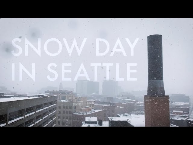 Snow Day in Seattle