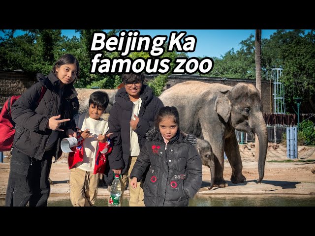 World famous zoo / Beijing Ka itna bara chirya Ghar / bachy chal chal KY thak Gaye