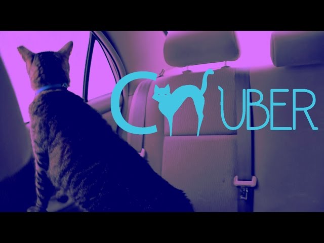 CUBER - Cat Uber