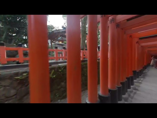 Nezu Shrine 3D VR180 Quest Japan"Senbon Torii” (根津神社), a Shinto Shrine in Bunkyo ward in Tokyo