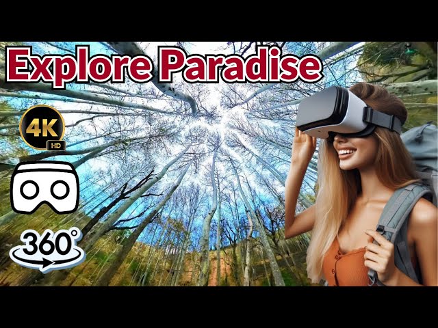 virtual reality videos: Hidden Paradise You've Been Searching For 360° VR #travel #life360 #nature