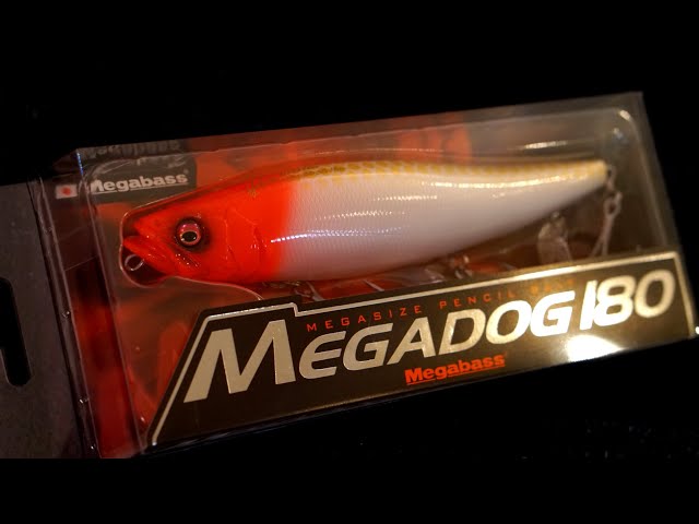 【メガバス 】最新ルアー「メガドッグ １８０/MEGADOG 180」待ちに待って遂に登場！